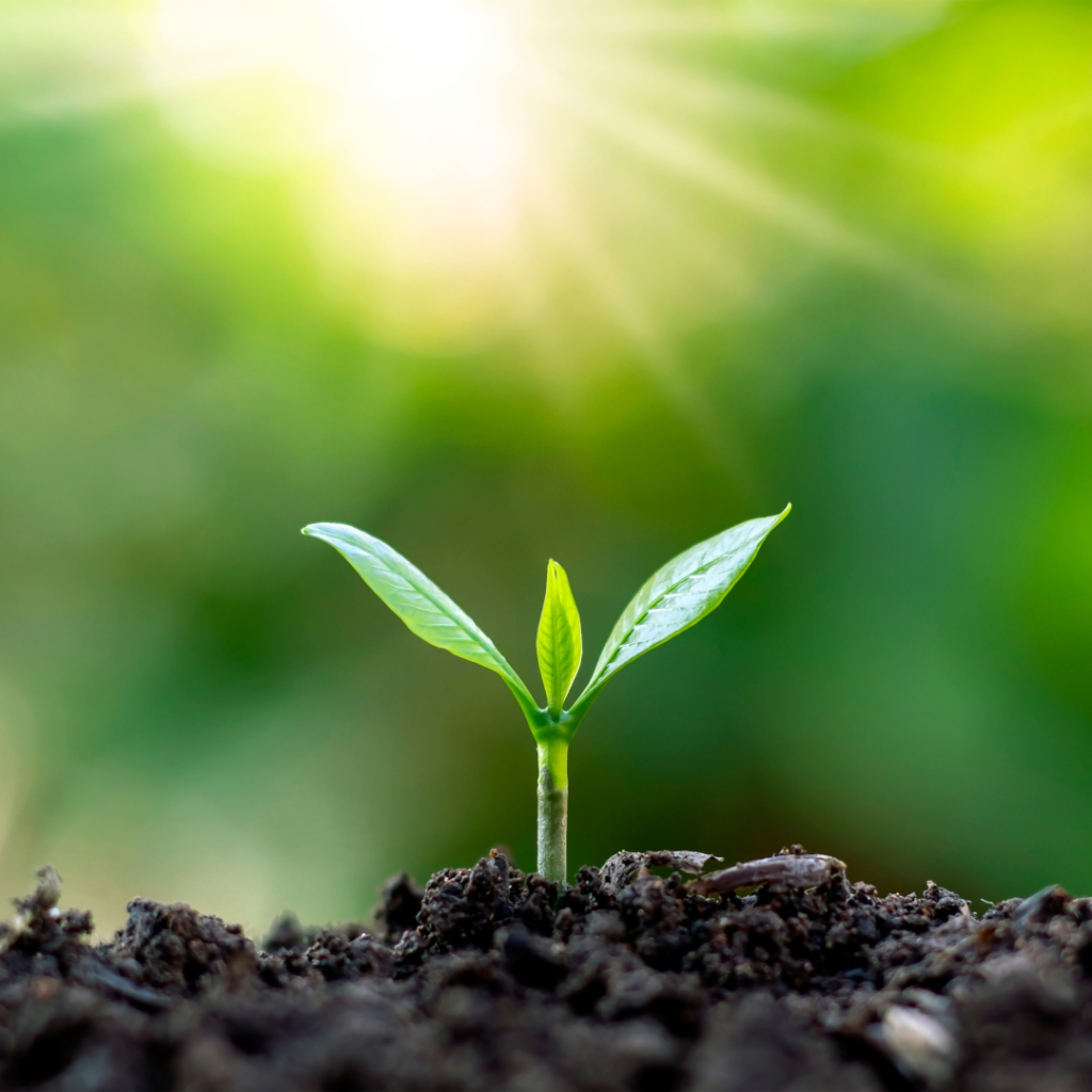 Seven Elements to Consider in Your Opening&nbsp;Chapters